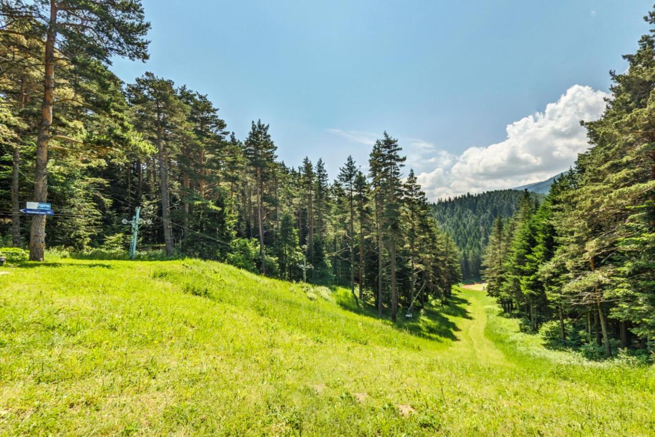 Хотел Магнолия, Hotel Magnoliya Panichishte Dış mekan fotoğraf